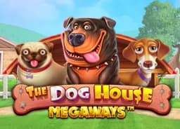 stylingyourcreativeworld: The Dog House Megaways